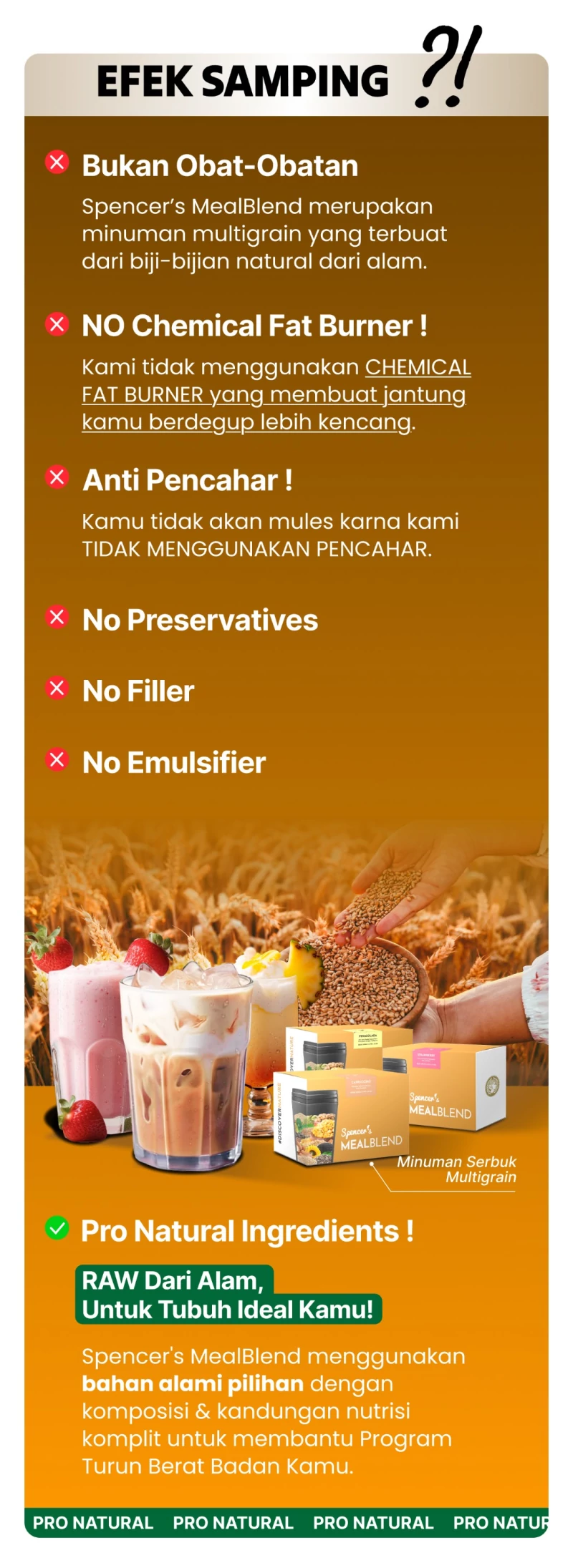 Spencer's MealBlend Complete Nutrition